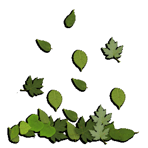 â?· Trees: Animated Images, Gifs, Pictures & Animations - 100% FREE!