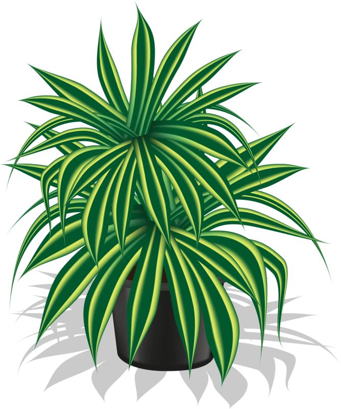 1000+ images about Clipart vessels