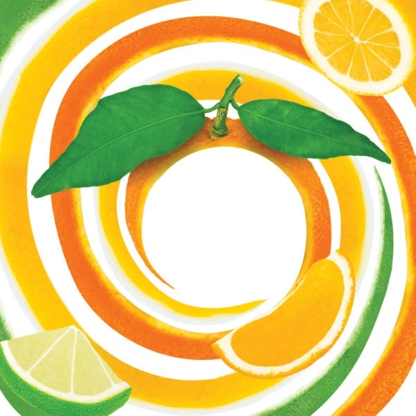 Fruit shape image 03 hd picture Free stock photos in Image format ...