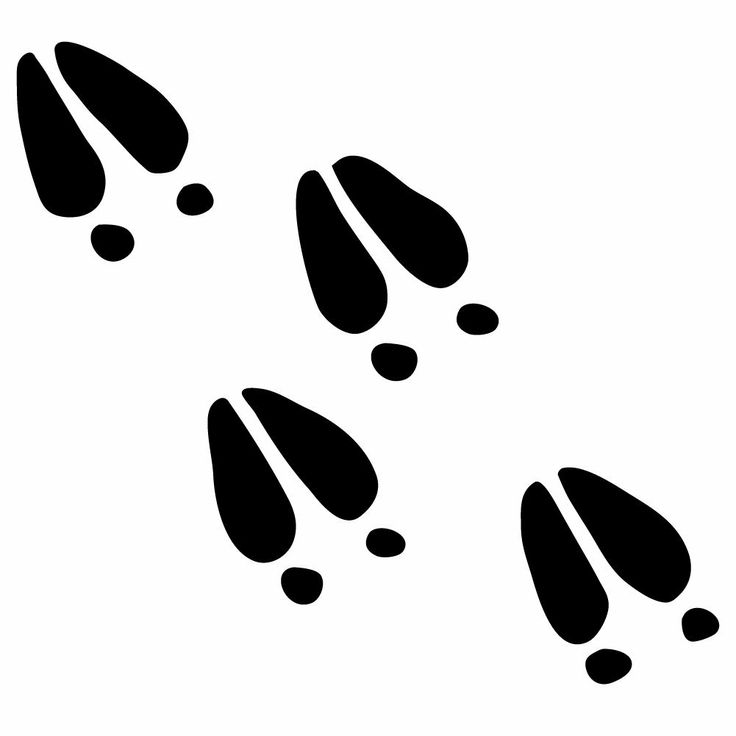 Deer Track Tattoo | Browning Tattoo ...