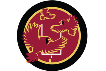 Revenge of the Birds, an Arizona Cardinals community