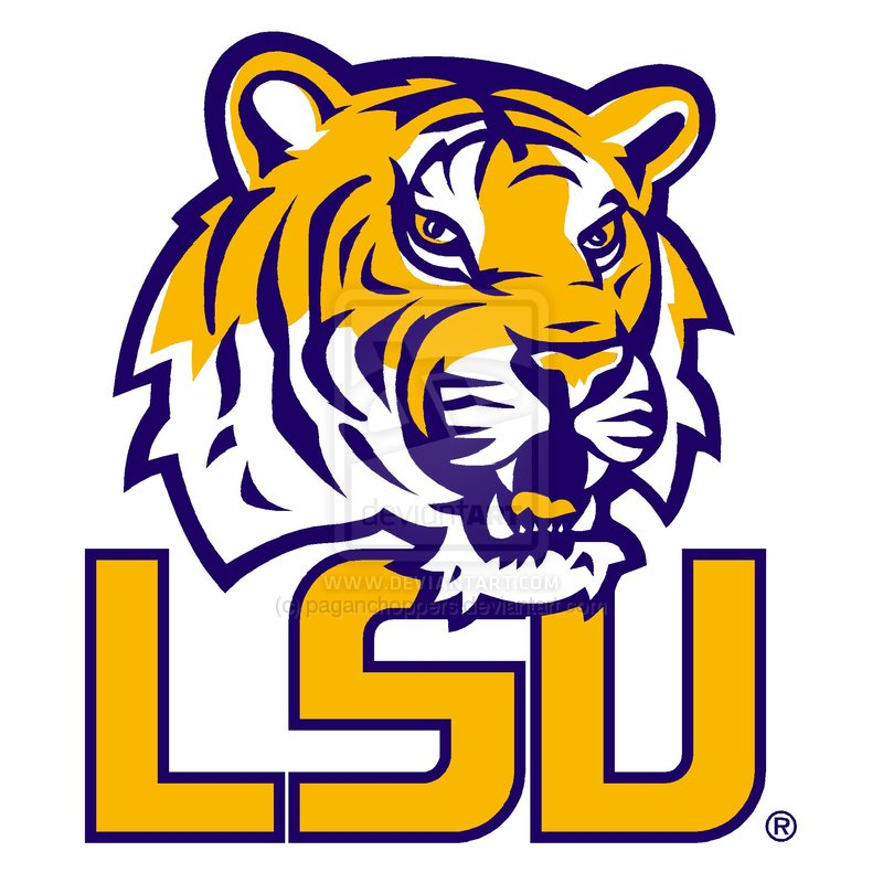 Job of the Week: HPC User Services Analyst at LSU - insideHPC