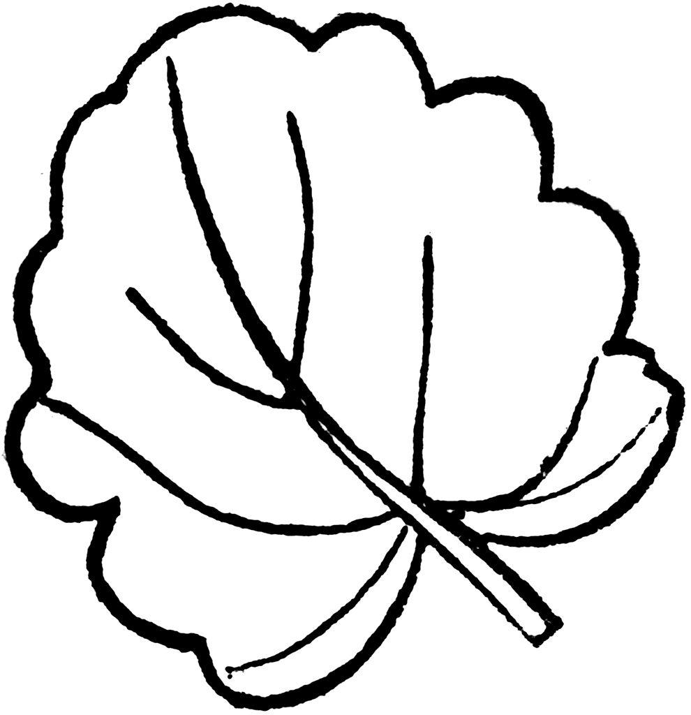 Leaf Shapes Printable - ClipArt Best - ClipArt Best