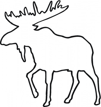 Animal Outlines
