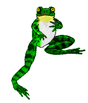 Kermit the Frog Pictures! Ode to Kermit The Frog...Kermit Inspiration