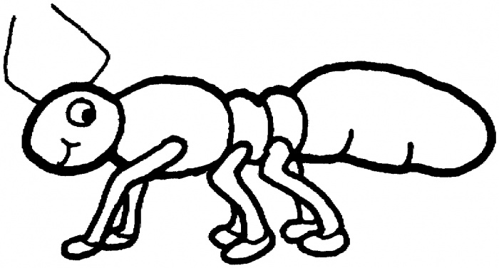 Ants coloring pages | Super Coloring