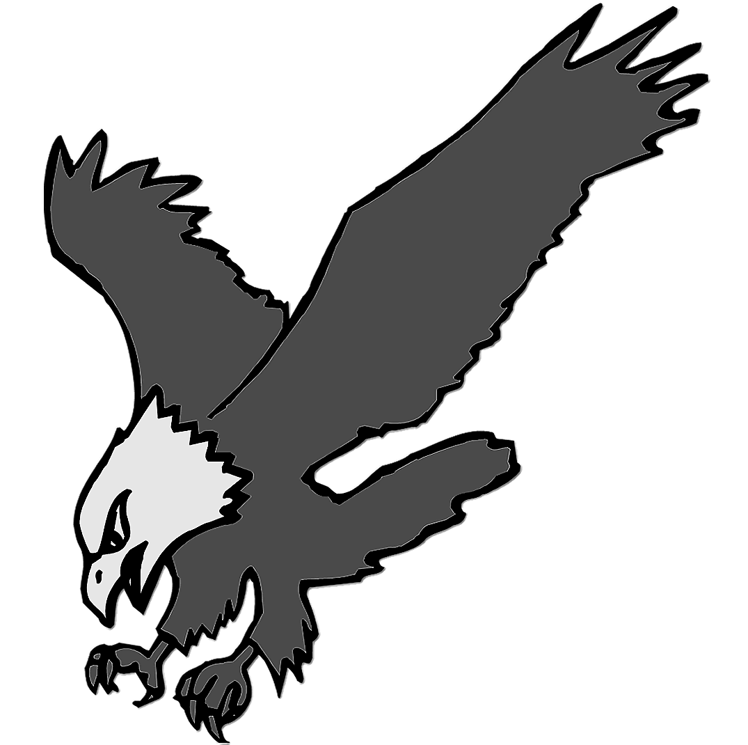 Rarebird's Rock and Roll Rarity Reviews