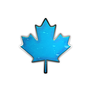 maple