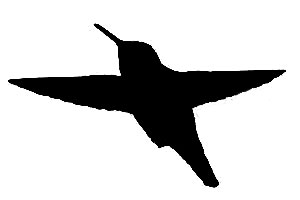 annas_hummingbird_sil.jpg