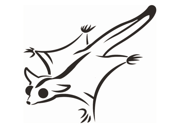 Go Wild With These Animal Pumpkin Stencils