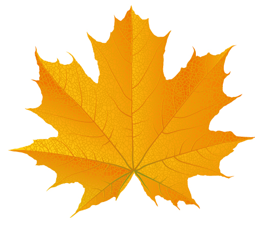 How to Draw a Fall Leaf Using Adobe Illustrator | Vectortuts+