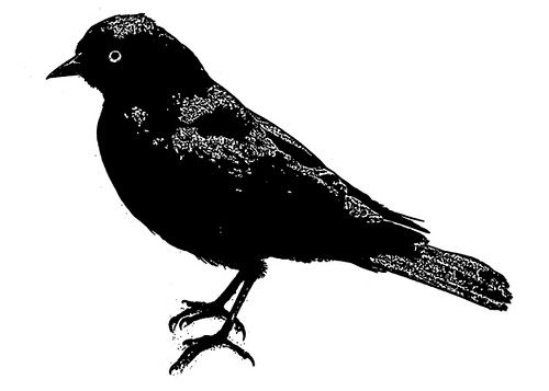 Creative Commons Free Clip Art | Flickr - Photo Sharing!