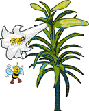 Free Flower Gifs - Flower Animations - Clipart