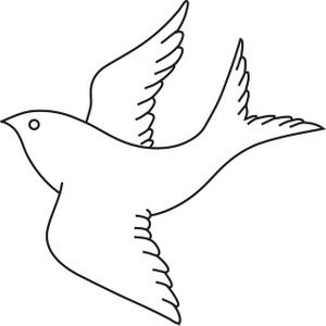 1000+ images about Birds