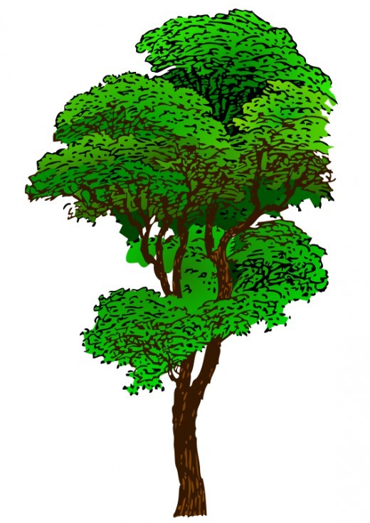 TREE CLIP ART | 175 Free Clip Art Trees