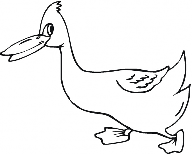 Duck Hunting Coloring Pages - ClipArt Best
