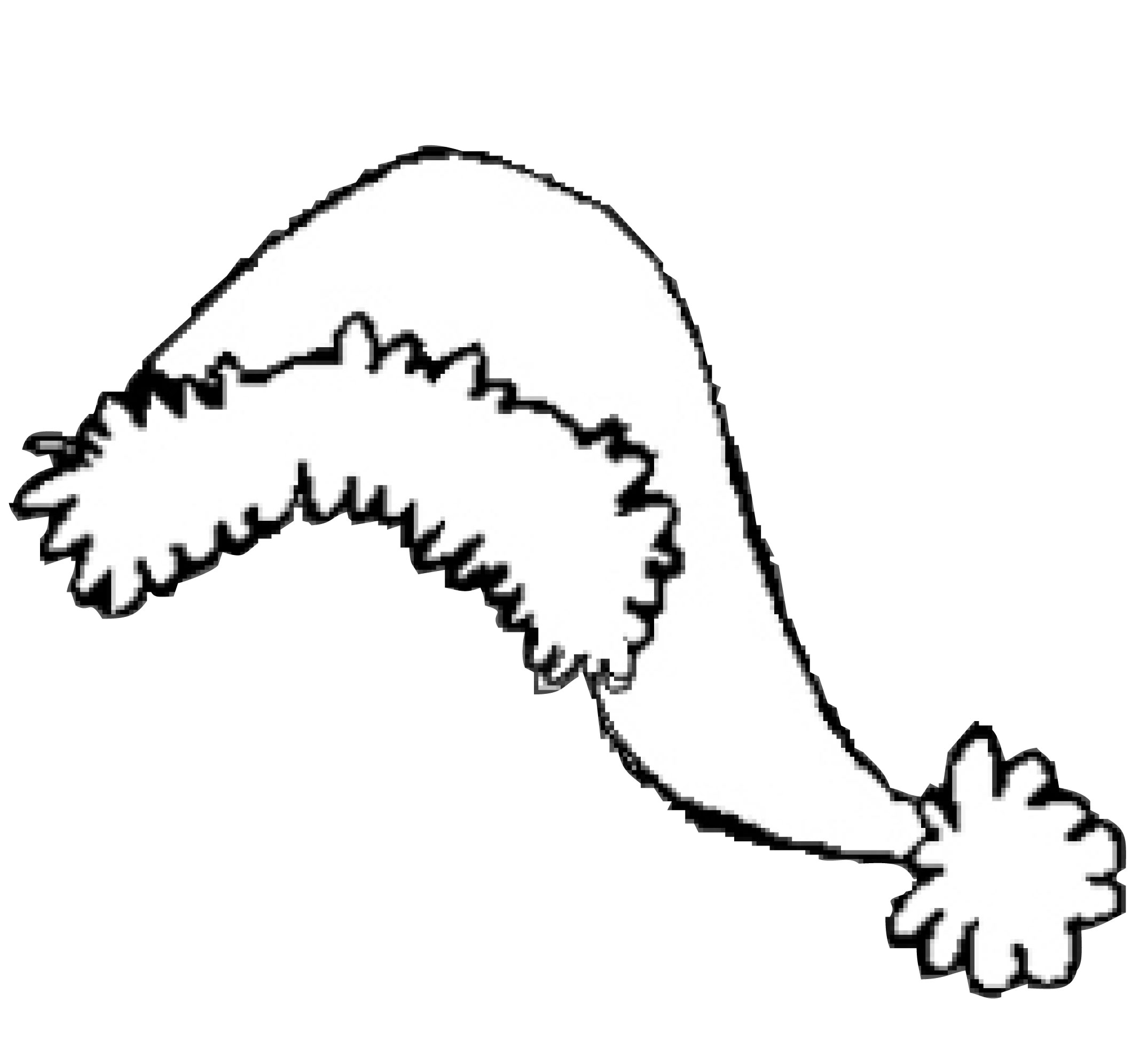 Shamu Coloring Pages