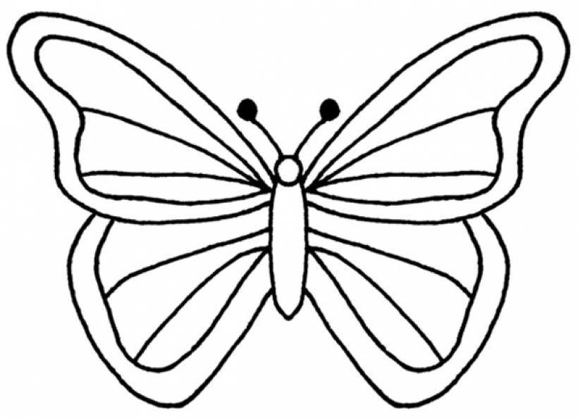 Clipart butterfly outline