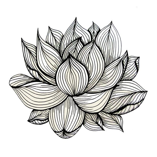 Lotus Drawing | Ganesha Tattoo ...
