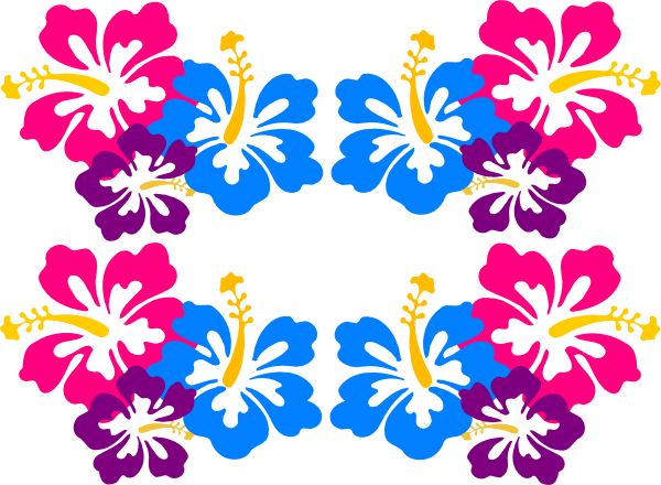 1000+ images about HAWAIIAN HIBISCUS | Vintage style ...