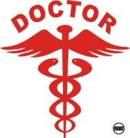 28% OFF on iDesign Doctor Logos Windows Car Sticker on Flipkart ...