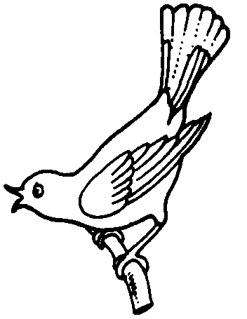Bird | Bird Flying Away Clip Art | Animal Picture | Animal Wallpaper