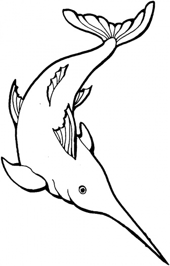 Swordfish 1 coloring page | Super Coloring
