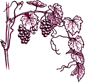 Narrow Grapevine Border Clipart