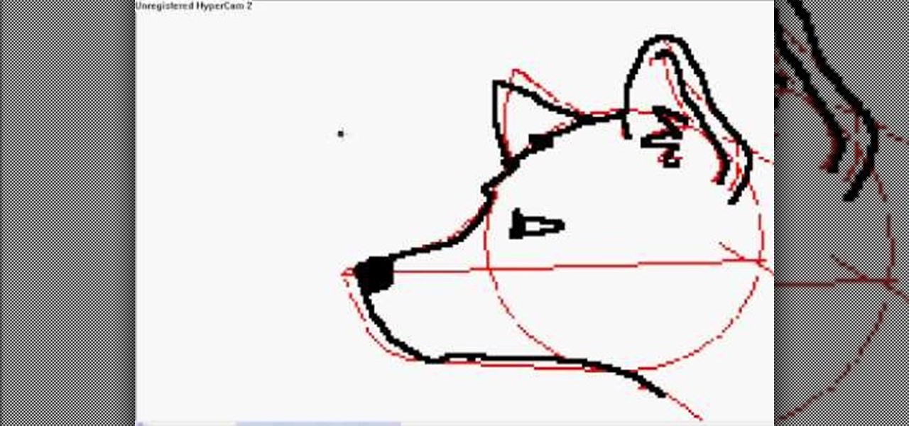 draw-wolf-step-by-step.1280x ...