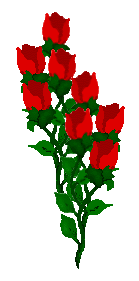 xrose2ff.gif