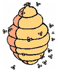 Honey Mushroom