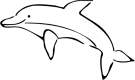 51127Q.GIF