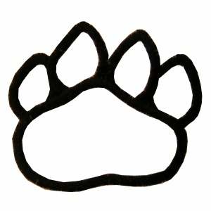 Sports/Mascots Machine Embroidery Designs