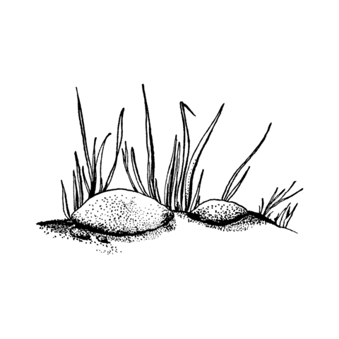 Grass & Bushes - Beeswax Rubber Stamps