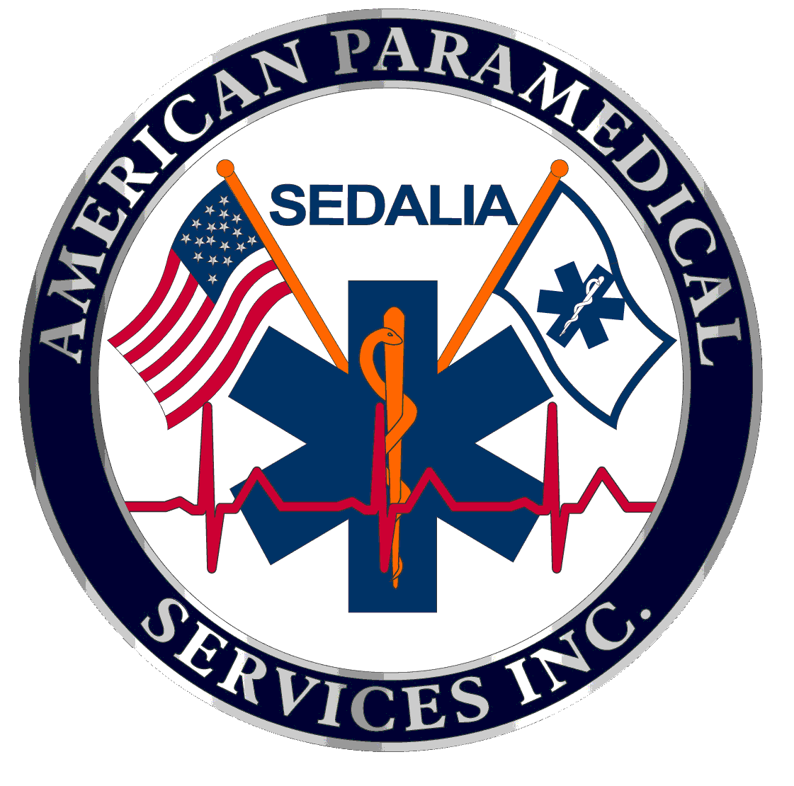 APSI_WEBSITE_LOGO.gif