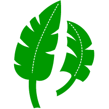 Jungle leaves clipart