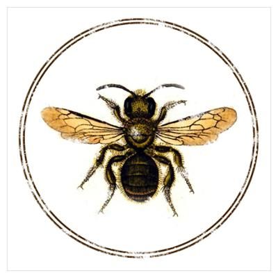1000+ images about Printables: Bee | Vintage bee, Bee ...
