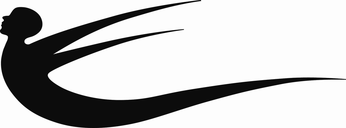 Emerging Images: SOAR Logo