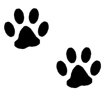Paw print pics transparent background clipart