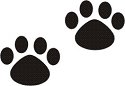 Student Accounting / Kindergarten Registration 2013