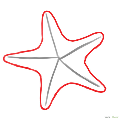 How to Draw a Starfish: 5 Steps (with Pictures) - wikiHow