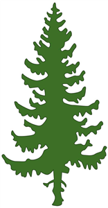 Fir Tree Silhouette - ClipArt Best