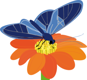 Butterfly And Flower Pictures - ClipArt Best