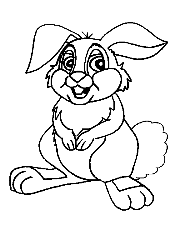Colouring picture rabbit / Colouring picture peter rabbit