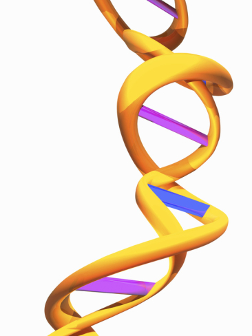 Biomedical Illustration of a Colorful DNA Double Helix Against a ...