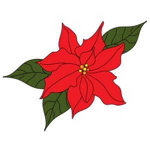 Poinsettia Clipart Image - Poinsettia Bloom