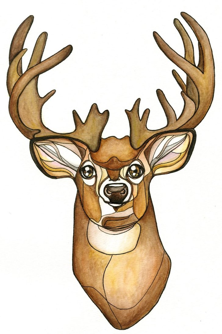 Buck Head by stephie-bailey
