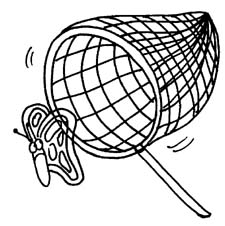 Free Clipart Network : Insects