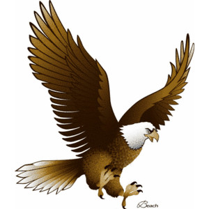 LARKSPUR MIDDLE SCHOOL : Eagles - Schoolnet