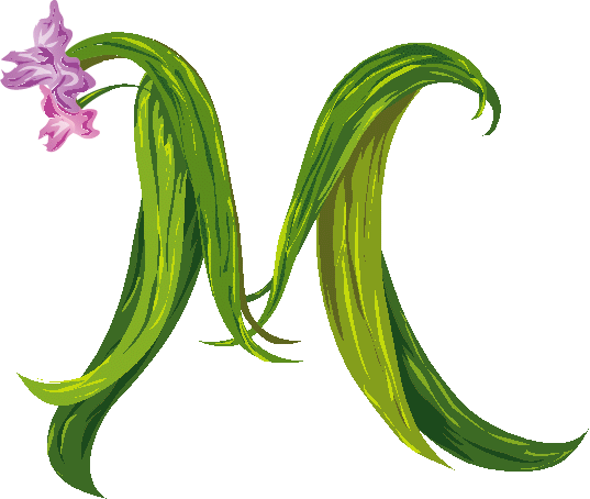 fancy m letter